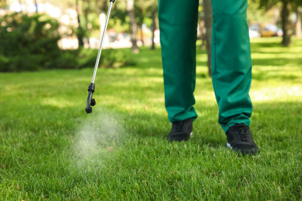 Best Best Pest Control Companies  in Willacoochee, GA