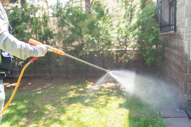 Best Local Pest Control Services  in Willacoochee, GA