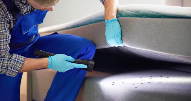 Best Mosquito Control Services  in Willacoochee, GA