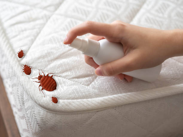 Best Pest Control Near Me in Willacoochee, GA