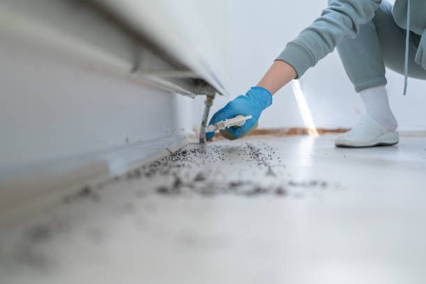 Best Pest Removal Services  in Willacoochee, GA