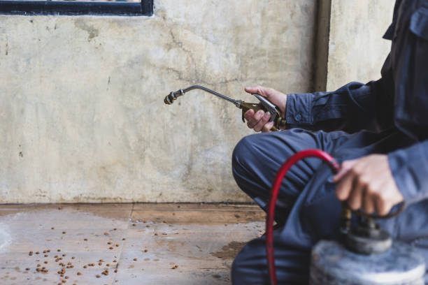 Best Pest Inspection Near Me  in Willacoochee, GA